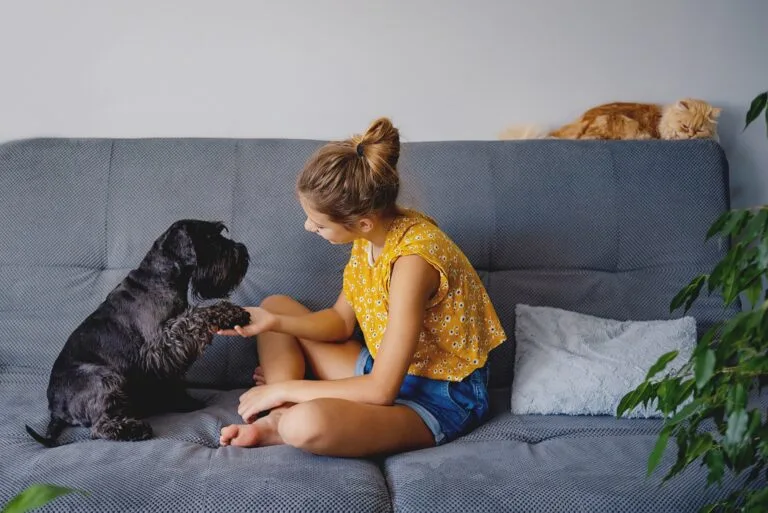 Dog Training Commands Concept.