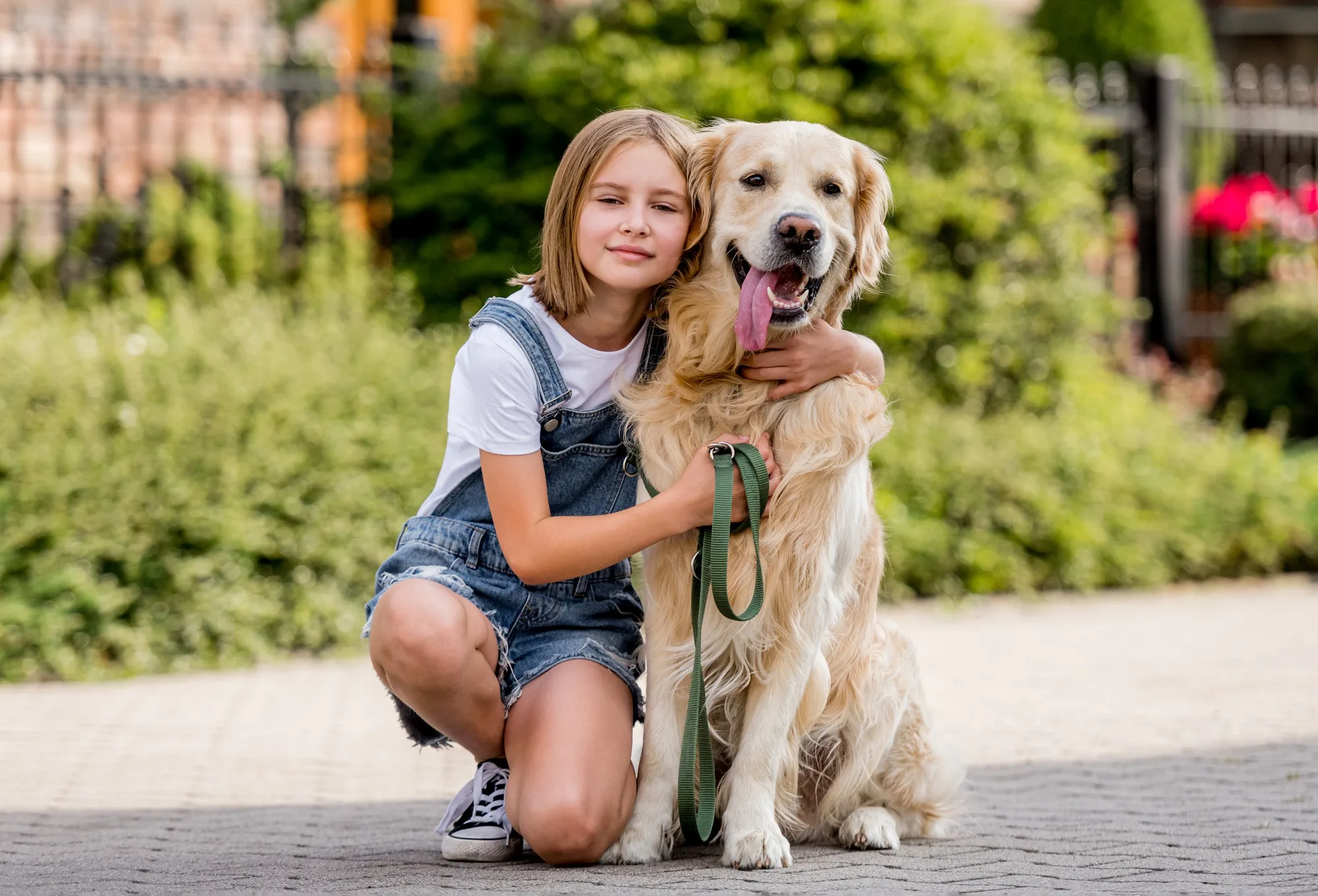Girl and golden retriever dog