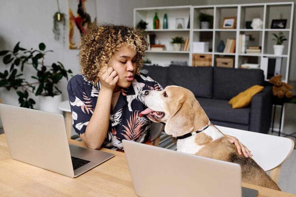 Owner talking to dog during work