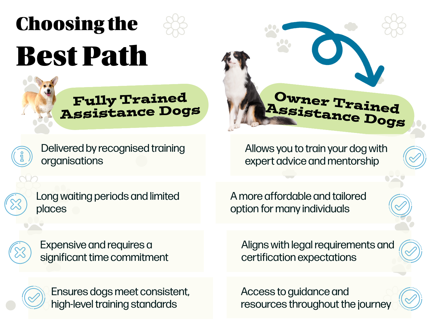 Comparison of fully trained and owner trained assistance dogs
