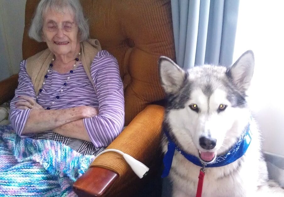 Elderly woman and husky dog relaxing at home.