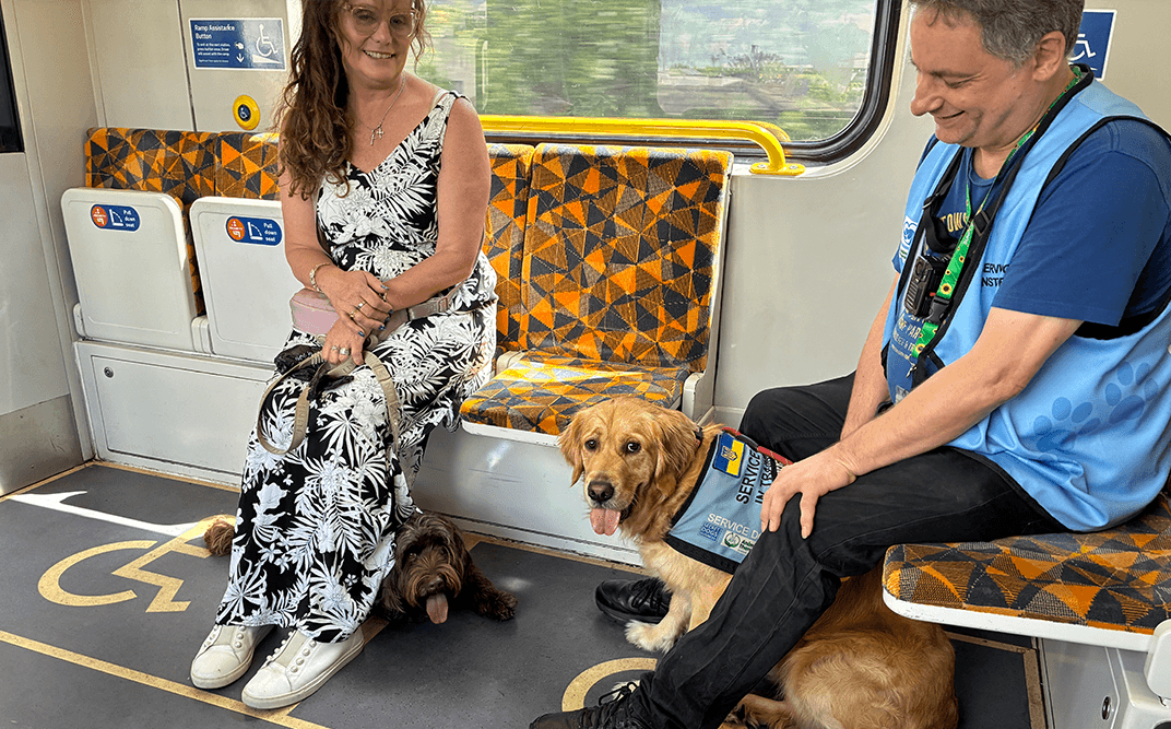 Passengers with service dogs on a train.