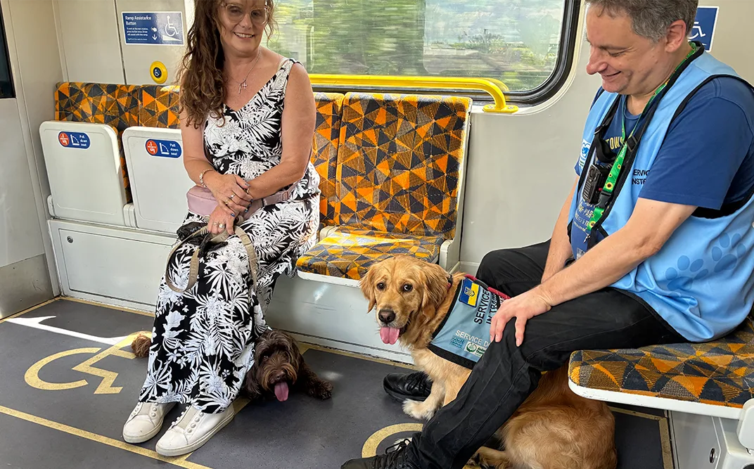 Passengers with service dogs on a train.