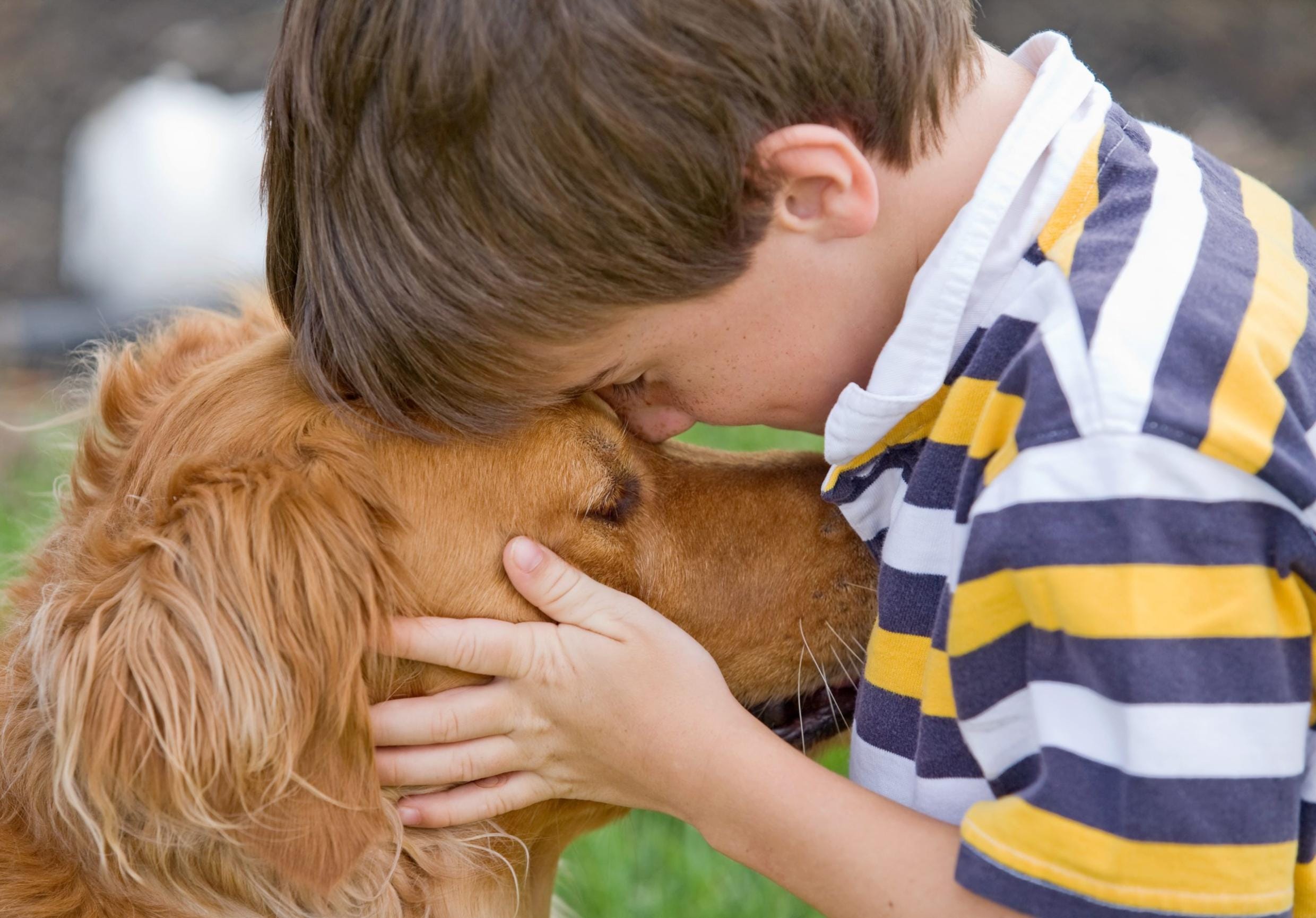 Boy touching foreheads with golden retriever dog
