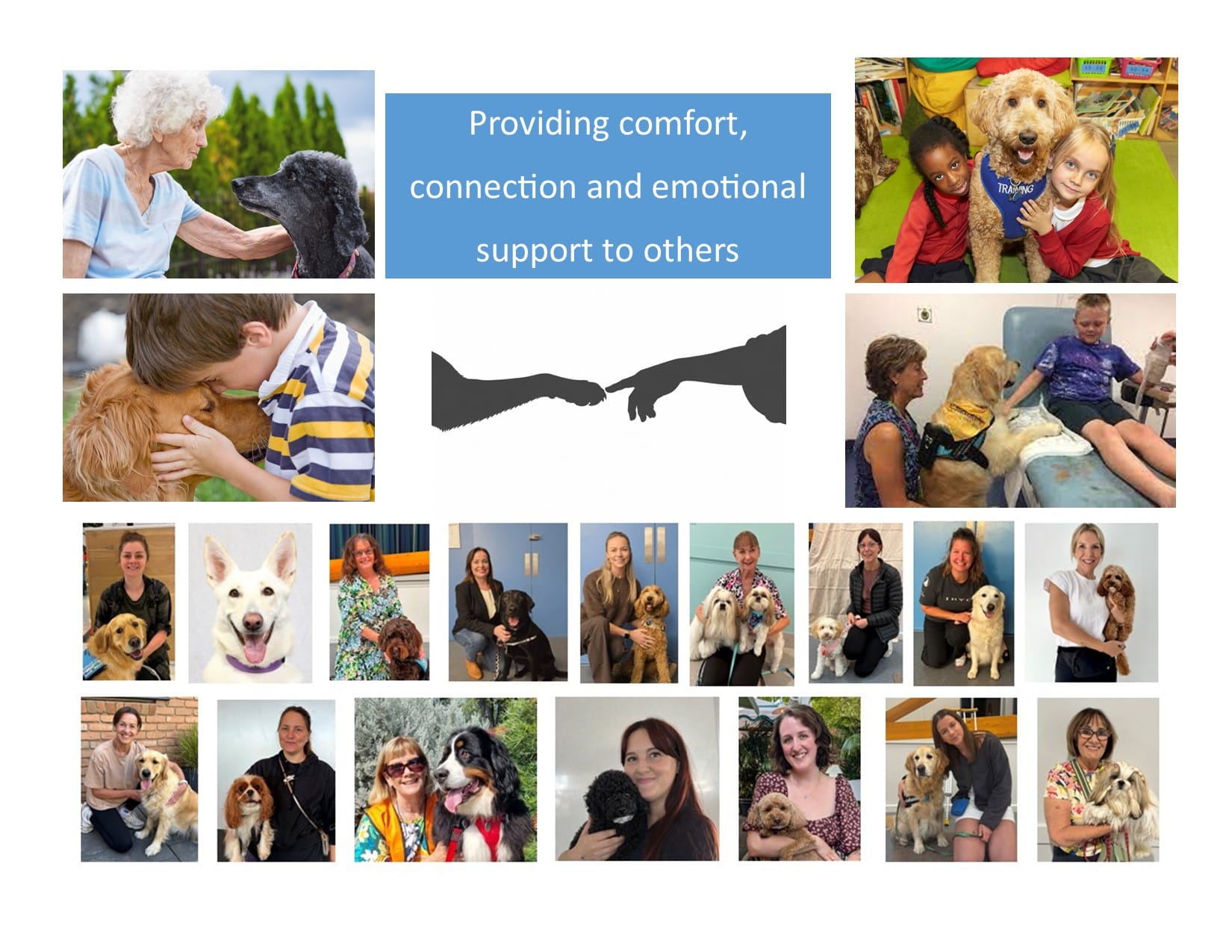 Therapy dogs providing comfort and emotional support