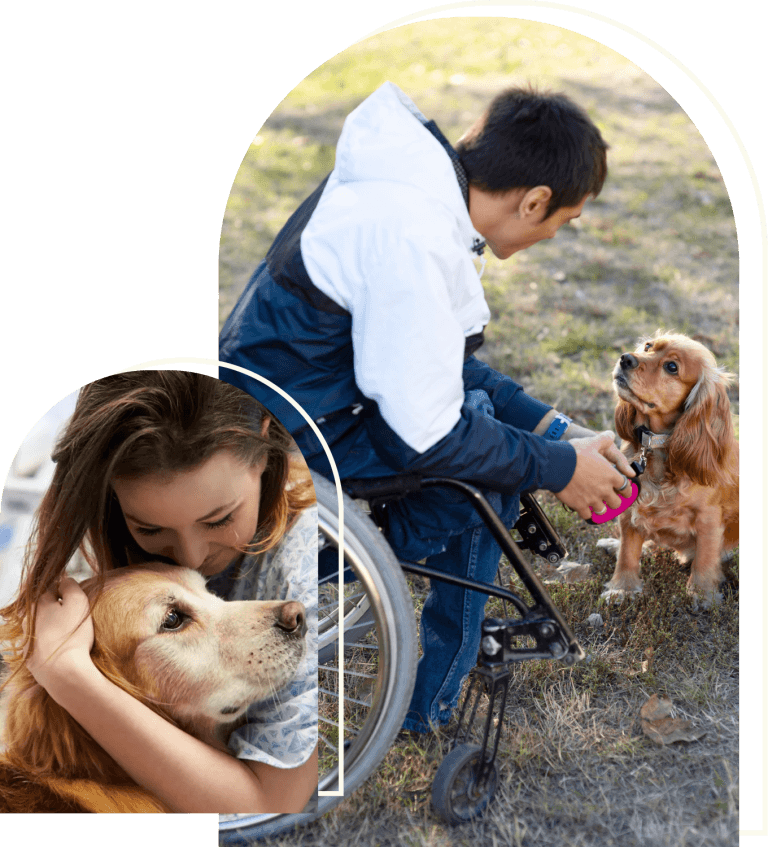 Service Dog Certification Get Your Dog Certified For Assistance service-dog-certification-get-your-dog-certified-for-assistance