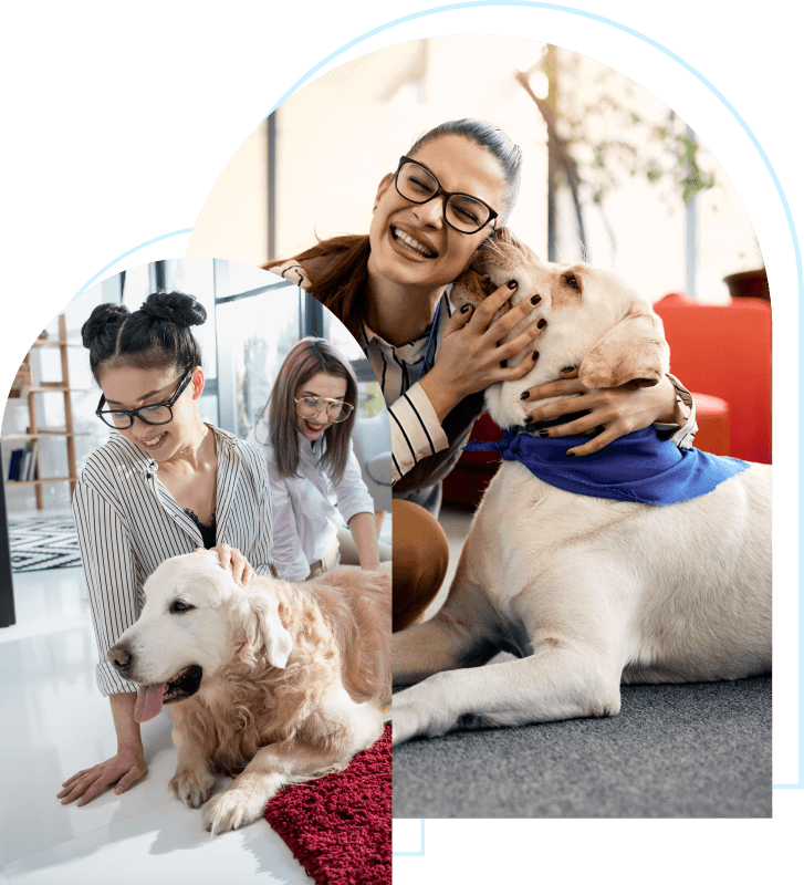 Certified Support Dog Training Paws For Support certified-support-dog-training-paws-for-support